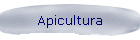 Apicultura