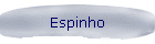 Espinho